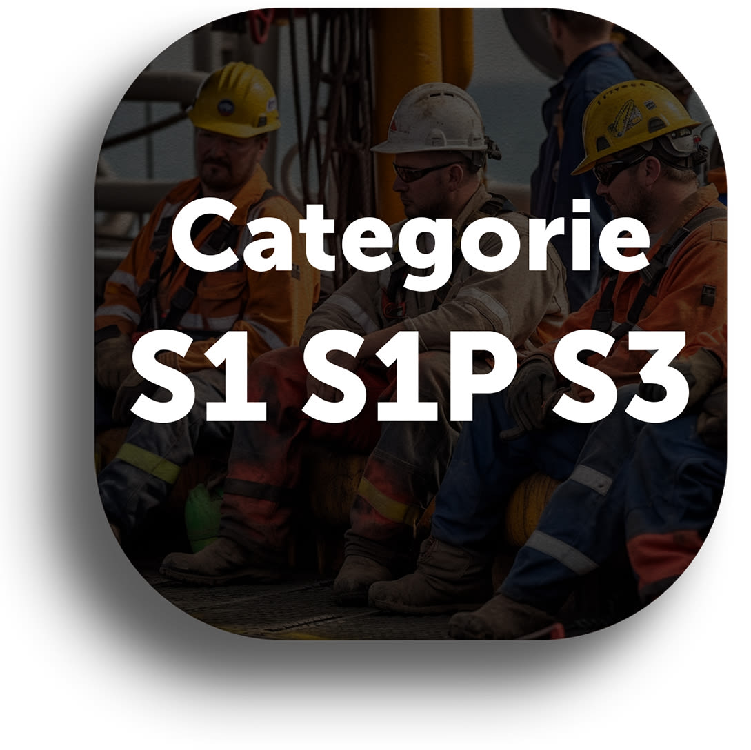 Categorie Protec ie S1 S1P S2 S3